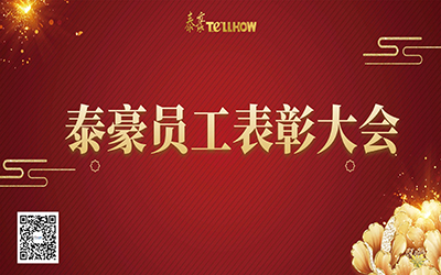 泰豪表彰 | 一路同行，“云”享慶典~